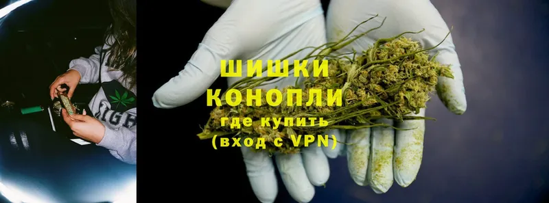 наркота  это формула  Канабис SATIVA & INDICA  Курильск 